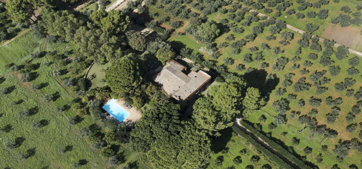 Aerial shot of Villa Selvira surrounded by olive trees, lush gardens, and a private pool in Sicily
