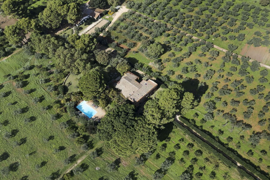 Villa Selvira vicino a Selinunte con piscina privata tra gli ulivi